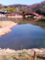 20110216132334.jpg