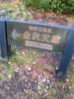 20110216132423.jpg