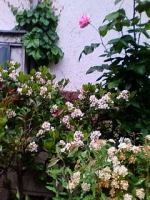 20110507181116.jpg
